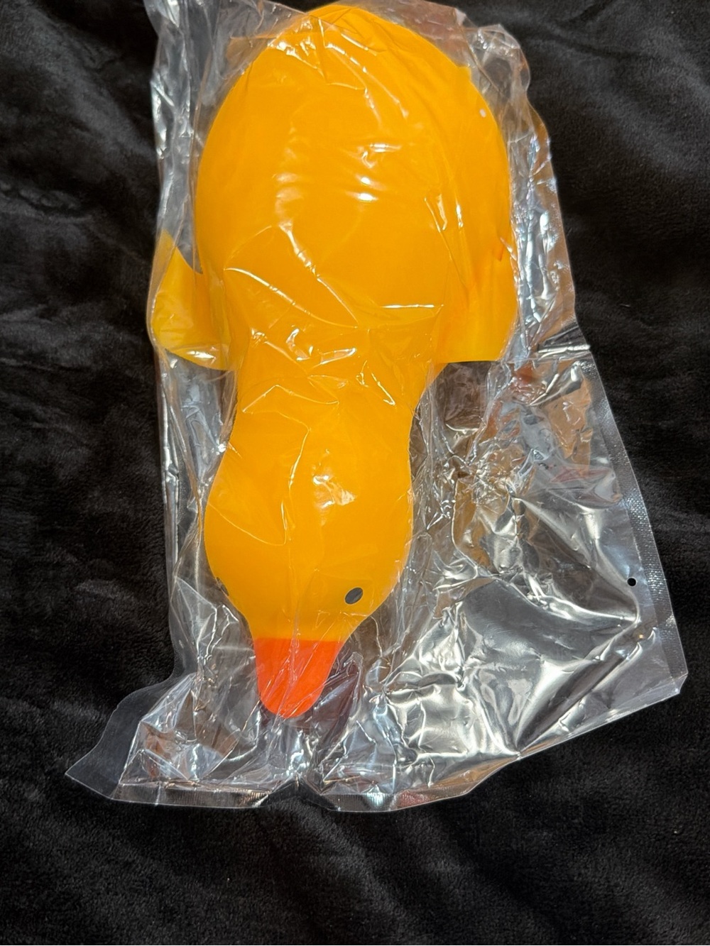 Squishy Duck!
